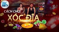 Xóc đĩa 1xbet - Trò chơi dân gian hấp dẫn