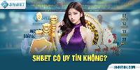 Sự thật về thông tin SHBET lừa đảo ra sao? Xem ngay! 