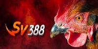 SV388 - Hệ thống nhà cái uy tín đỉnh cao tại Việt Nam