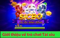 Hướng Dẫn Anh Em Cách Chơi Tài Xỉu Tại Nhà Cái Sin88