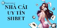 SHBET Có Uy Tín Không - Giải Đáp Chuẩn Nhất Cho Cược Thủ